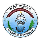 Wachamo University