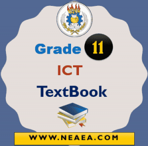 Ethiopian Grade 11 ITC TextBook For Students PDF