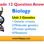 Ethiopia Grade 12 Biology: Unit 3 Genetics Questions Answers